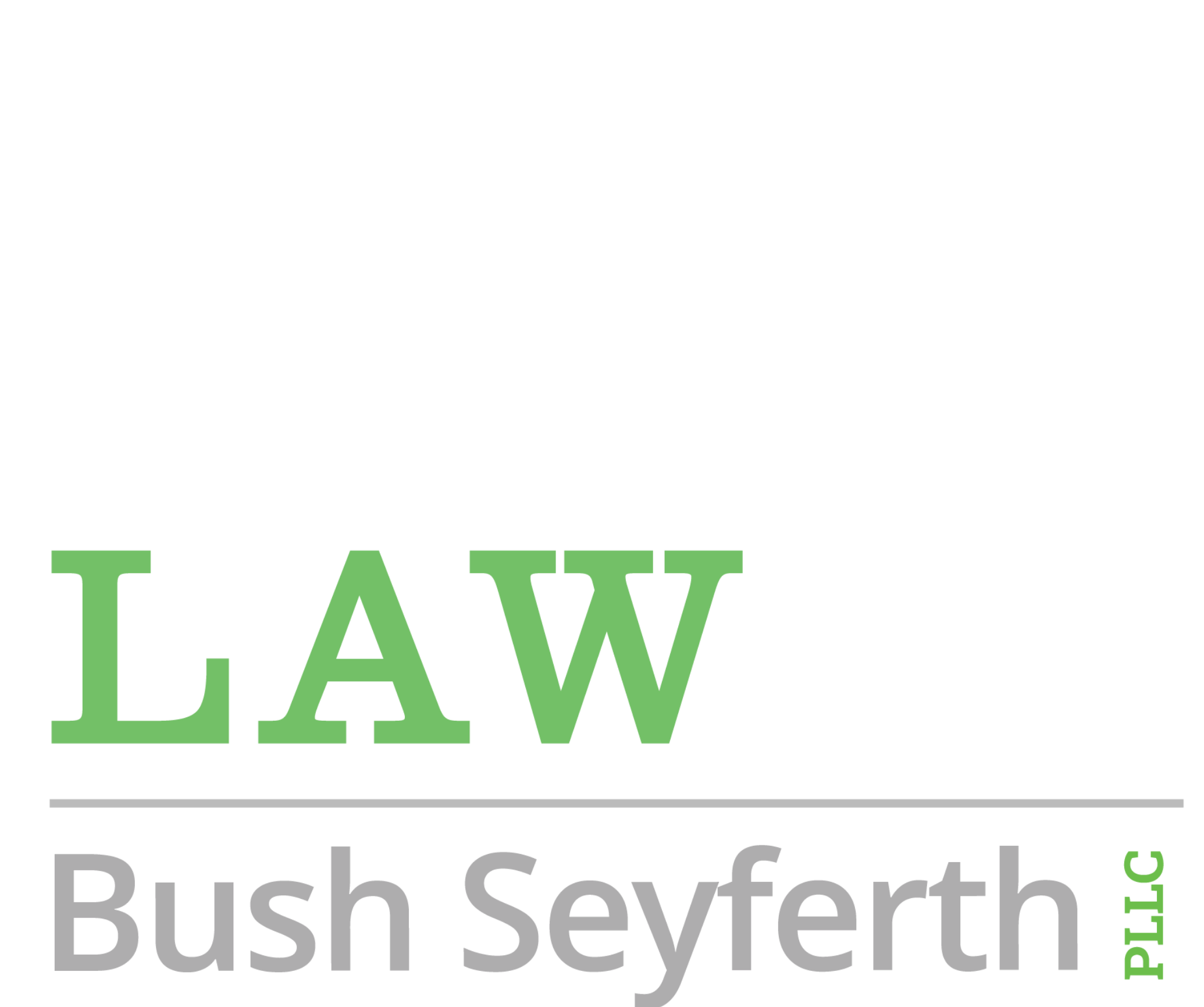 Bush Seyferth PLLC
